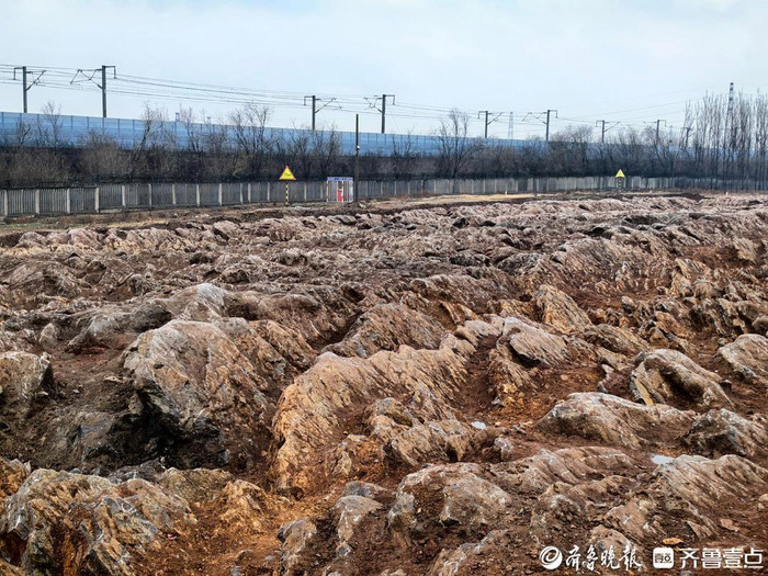 Đào móng xây ga cao tốc, công nhân bất ngờ phát hiện kỳ quan 500 triệu năm trước Ảnh 2