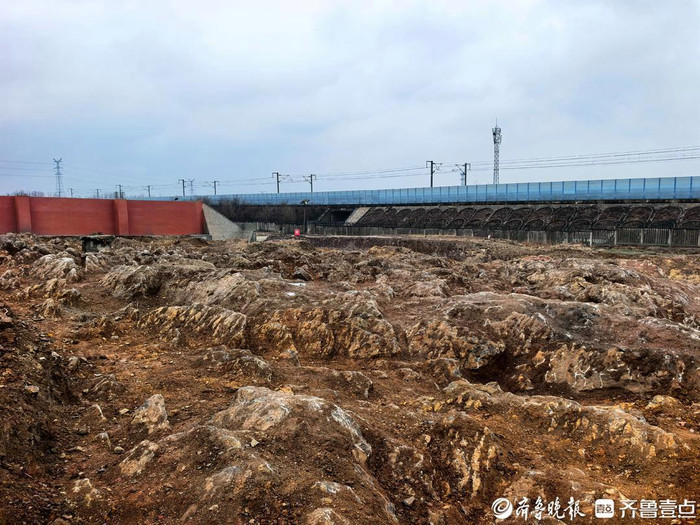 Đào móng xây ga cao tốc, công nhân bất ngờ phát hiện kỳ quan 500 triệu năm trước Ảnh 1