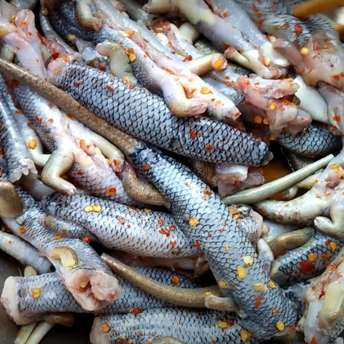 Loài bò sát vừa nhìn đã 'chết khiếp' lại là đặc sản ở nhiều tỉnh miền Tây Ảnh 4