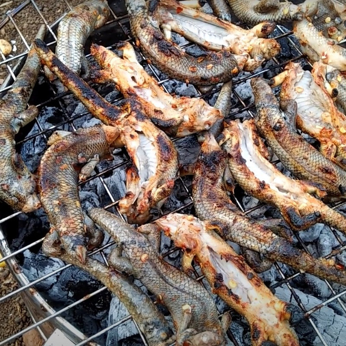 Loài bò sát vừa nhìn đã 'chết khiếp' lại là đặc sản ở nhiều tỉnh miền Tây Ảnh 2