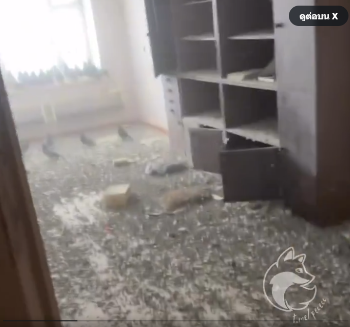 Đi làm xa quên đóng cửa sổ suốt 3 năm, người đàn ông bàng hoàng cảnh tượng khi trở về nhà Ảnh 2