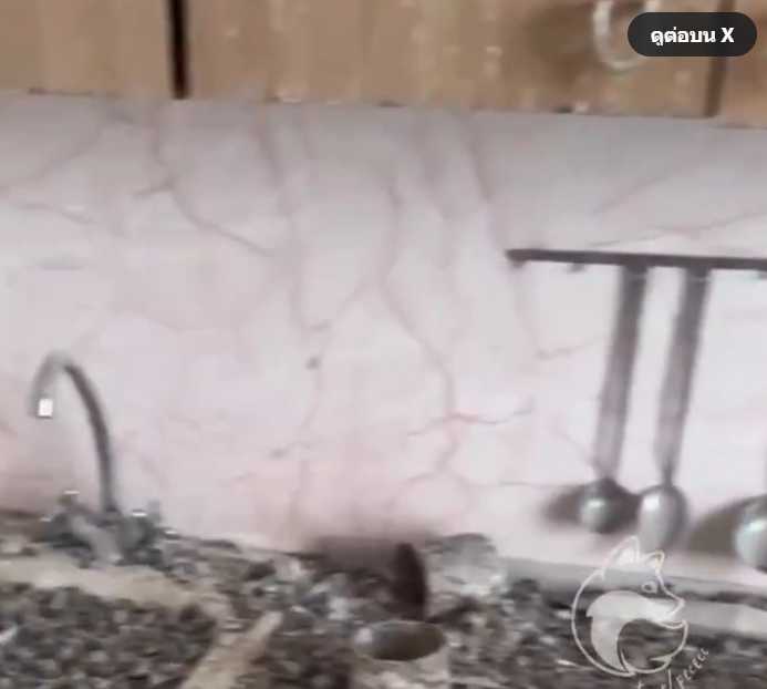 Đi làm xa quên đóng cửa sổ suốt 3 năm, người đàn ông bàng hoàng cảnh tượng khi trở về nhà Ảnh 3