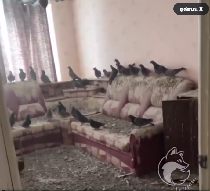 Đi làm xa quên đóng cửa sổ suốt 3 năm, người đàn ông bàng hoàng cảnh tượng khi trở về nhà Ảnh 1