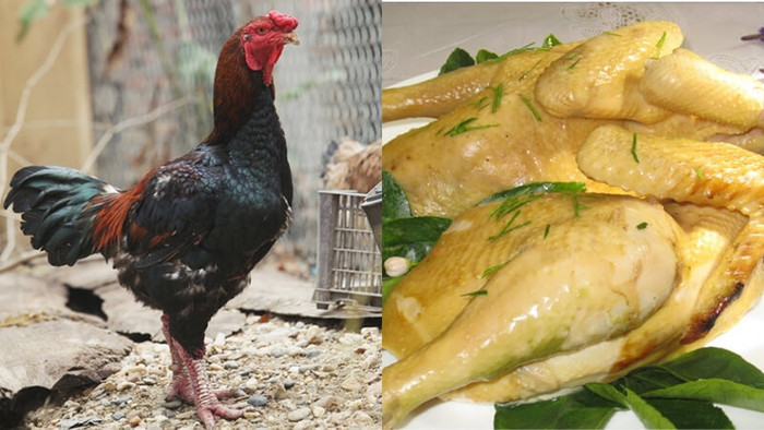 Hoà Minzy 'chuẩn bị mời cưới', Văn Toàn sắp được thưởng thức loạt món ngon nào ở quê cô dâu? Ảnh 6