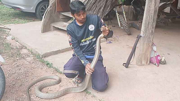 Nghe tiếng động lạ dưới nắp xe hơi, người đàn ông kinh hoàng khi kiểm tra Ảnh 3