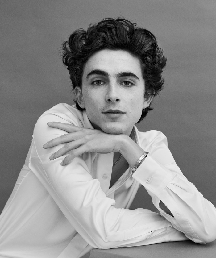 Phát ngôn gây tranh cãi của Timothée Chalamet dấy lên tranh luận về tương lai của ballet và opera Ảnh 2