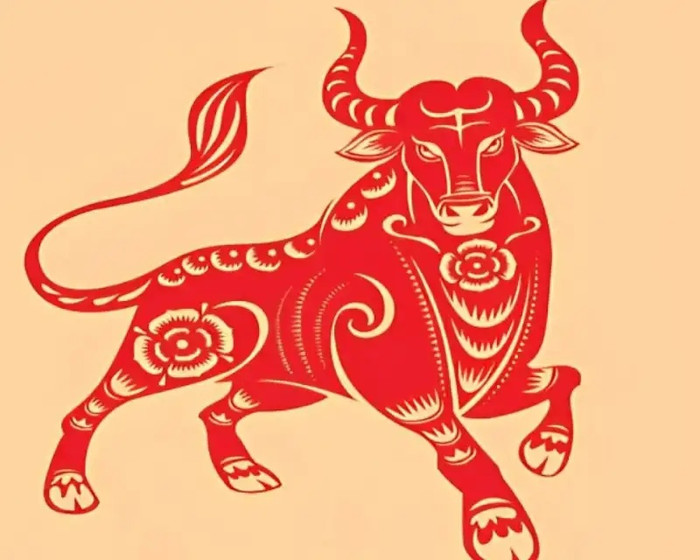 4 con giáp càng bị coi thường càng dễ thành công: Lặng lẽ tích lũy, đến lúc bứt phá thì không ai kịp trở tay Ảnh 1