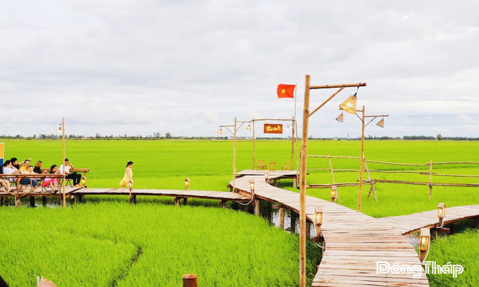 Về Đồng Tháp quê Nam Em: Tận hưởng không khí ở những 'cánh đồng biết thở' đẹp như tranh Ảnh 4