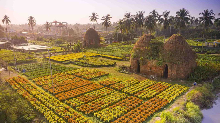 Về Đồng Tháp quê Nam Em: Tận hưởng không khí ở những 'cánh đồng biết thở' đẹp như tranh Ảnh 2