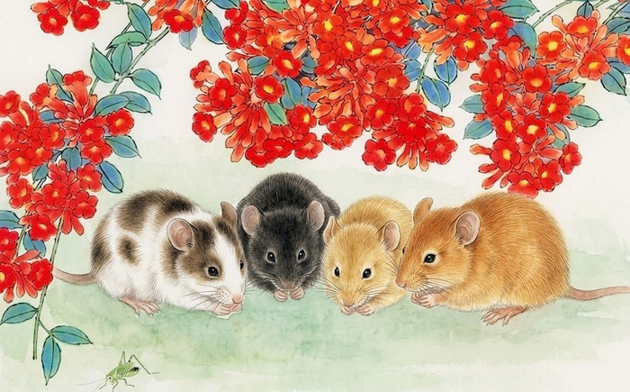 Con giáp tuổi Tý.