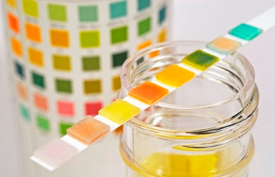 4 dấu hiệu khi đi vệ sinh cảnh báo bệnh nguy hiểm, nhiều người rất chủ quan Ảnh 1