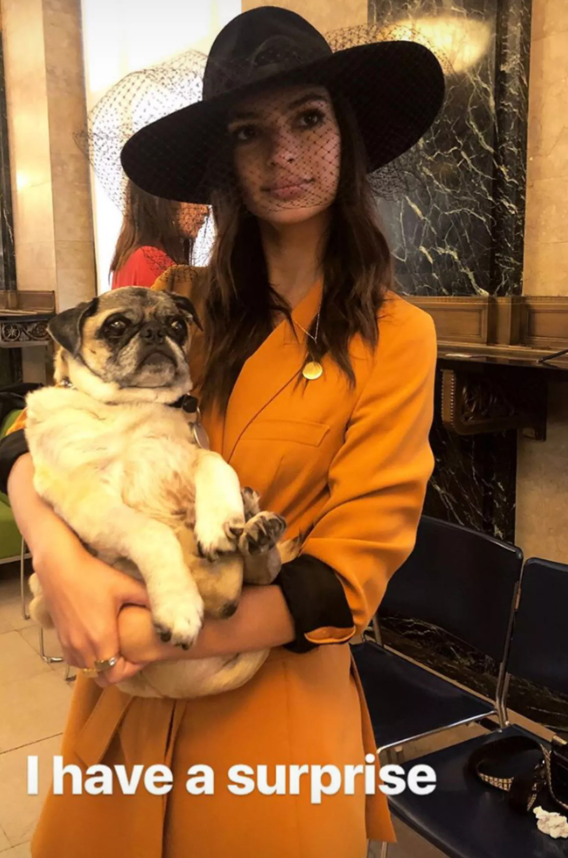 Siêu mẫu Emily Ratajkowski lại mang đến một lựa chọn hoàn toàn khác biệt khi tổ chức hôn lễ bất ngờ tại City Hall cùng Sebastian Bear-McClard. Cô diện bộ suit Zara đơn giản, lấy cảm hứng từ phong cách của Bianca Jagger, kết hợp mũ voan thanh lịch, tổng chi phí chưa đến 200 USD. Ảnh: Emily Ratajkowski