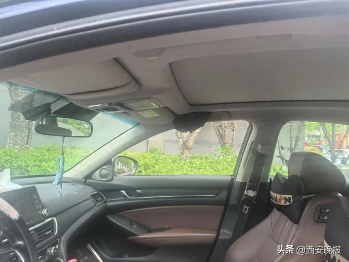 Dừng xe 15 phút không đóng cửa sổ, người đàn ông 'chết lặng' khi quay lại Ảnh 1