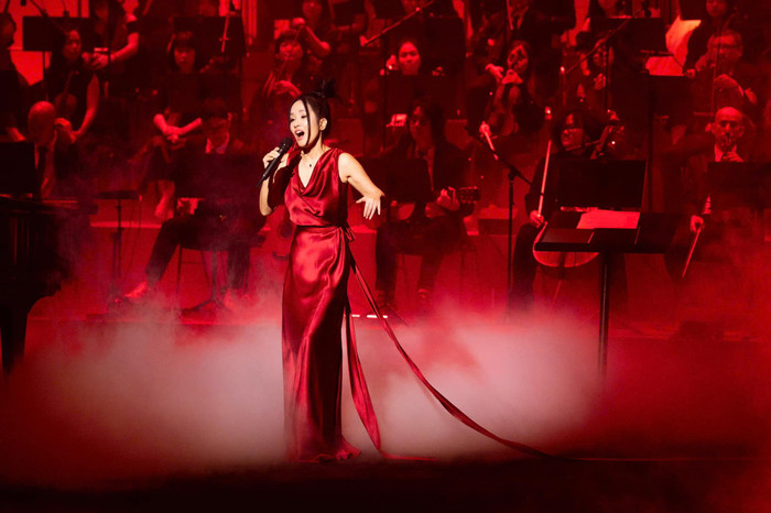 Diva Hồng Nhung khóc nấc trên sân khấu, nghẹn ngào không hát nên lời Ảnh 6