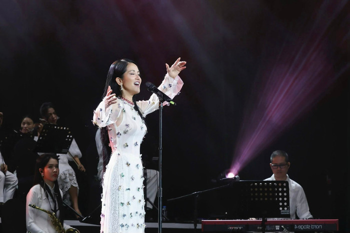 Diva Hồng Nhung khóc nấc trên sân khấu, nghẹn ngào không hát nên lời Ảnh 5