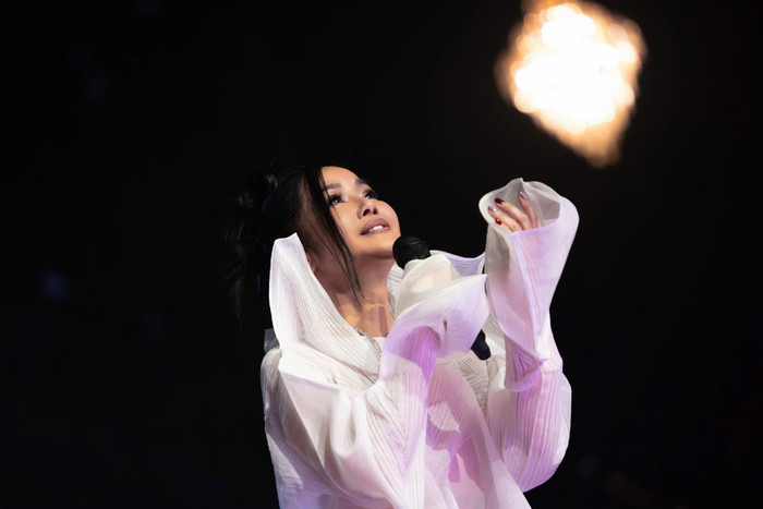 Diva Hồng Nhung khóc nấc trên sân khấu, nghẹn ngào không hát nên lời Ảnh 2