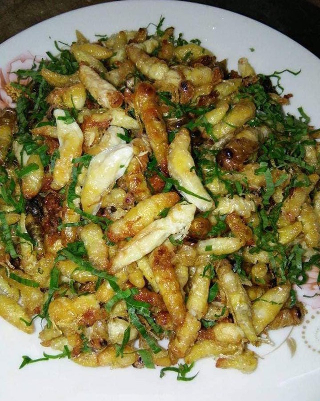 Hè này về xứ Nghệ - quê Hồ Văn Cường, thưởng thức nhộng ong rừng béo ngậy Ảnh 3