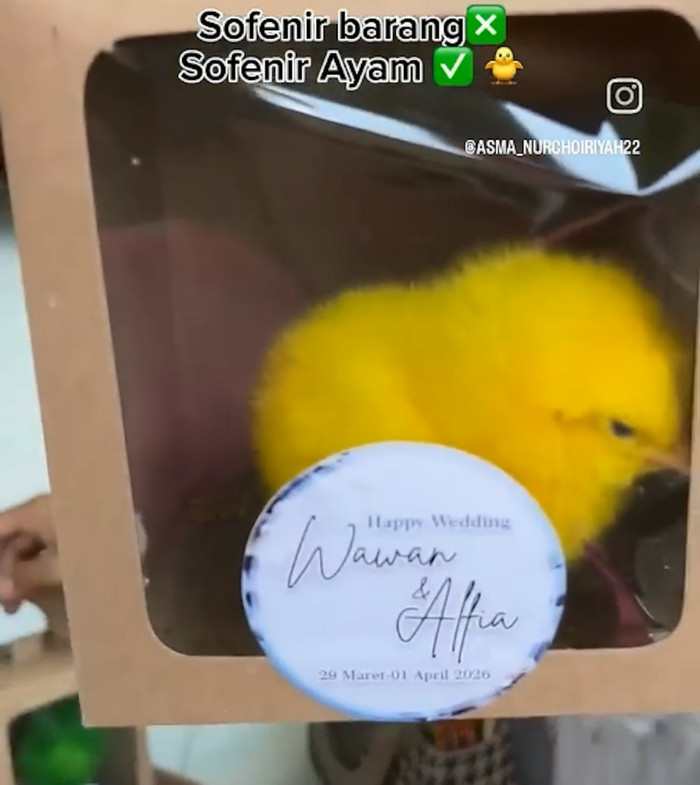 Đi đám cưới, cặp đôi tặng quà cho cô dâu chú rể gây bức xúc Ảnh 3