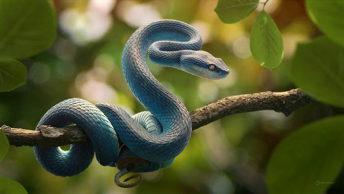 3 con giáp hết duyên cũ, mở cửa đón tình mới, càng buông càng gặp đúng người Ảnh 1