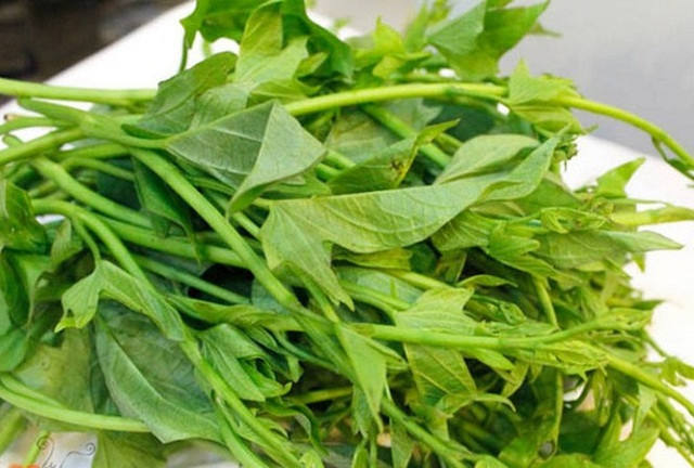 Loại rau tuổi thơ ai cũng từng ăn, giờ thành 'đặc sản ký ức' của một thời nghèo khó Ảnh 2