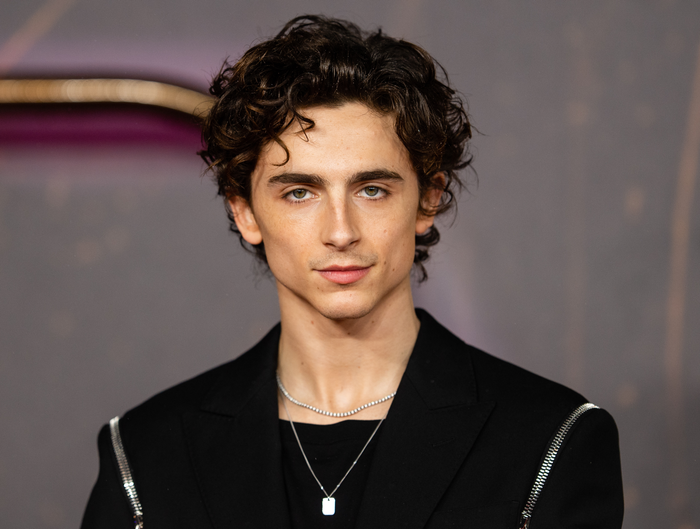 Phát ngôn của Chalamet cũng khiến hình ảnh của anh ít nhiều bị ảnh hưởng. (Ảnh: People)