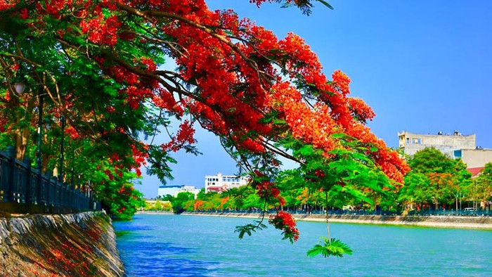 Cảnh đẹp yên bình của Hải Phòng.