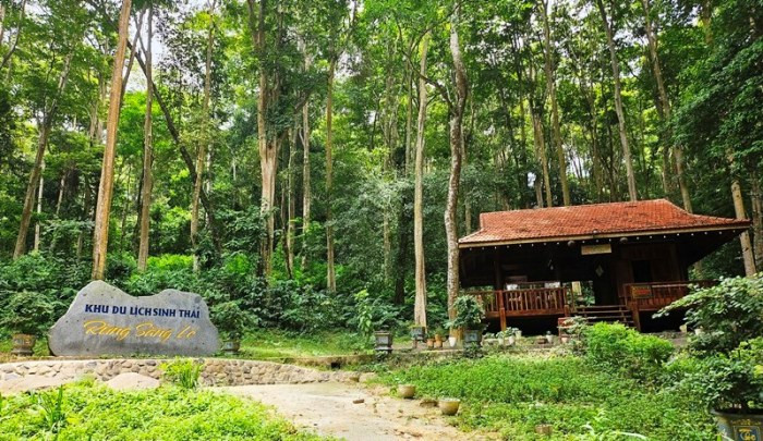 Khu rừng nguyên sinh ở Nghệ An.