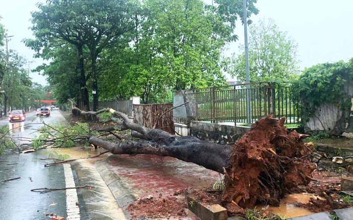 Ảnh minh hoạ/Nguồn: báo Lao Động.