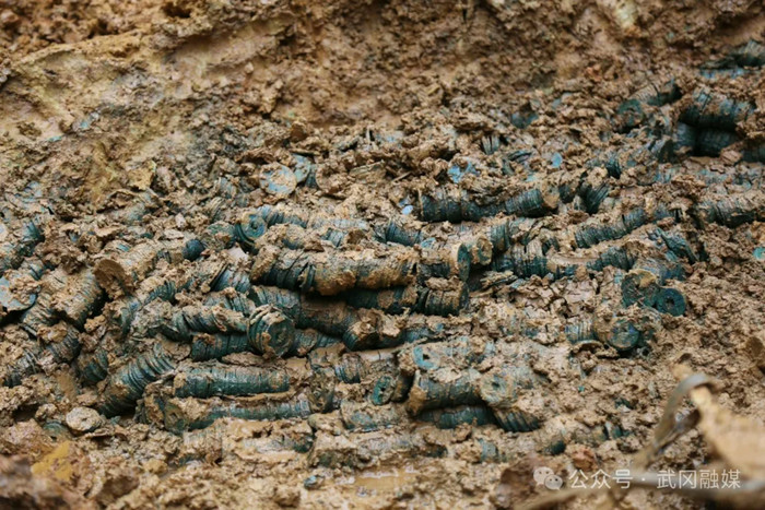 Đào đất làm cống, nam công nhân phát hiện 3 tấn tiền cổ Ảnh 1