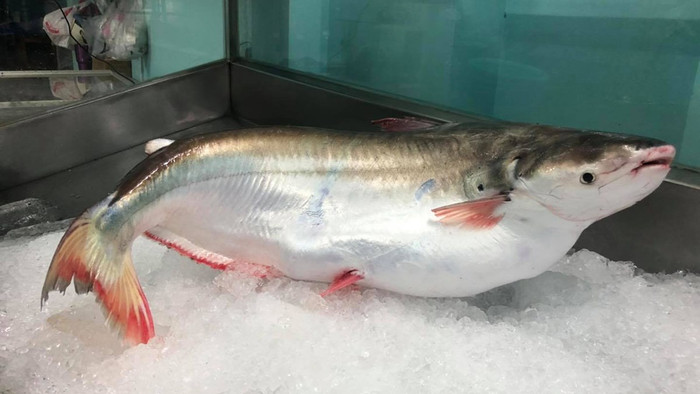 Ảnh minh họa từ Internet.