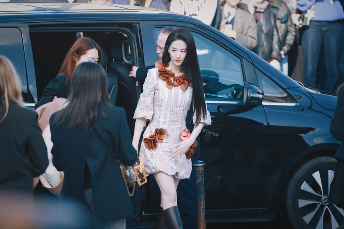 Visual xinh đẹp cùng khả năng diễn xuất đã giúp Lưu Diệc Phi có chỗ đứng vững trong giới showbiz Hoa ngữ. Ảnh: Fansite