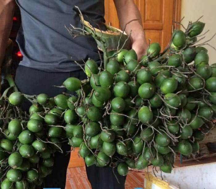 Ảnh minh họa&nbsp;