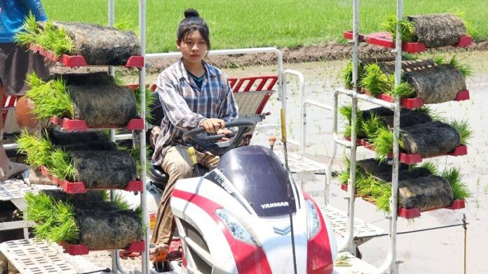 Phụ cha mẹ làm ruộng, cô gái 16 tuổi 'gây sốt' vì nhan sắc xinh đẹp Ảnh 4