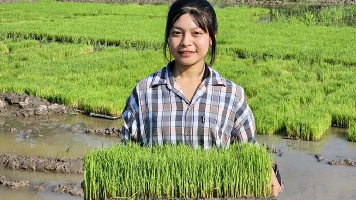 Phụ cha mẹ làm ruộng, cô gái 16 tuổi 'gây sốt' vì nhan sắc xinh đẹp Ảnh 2