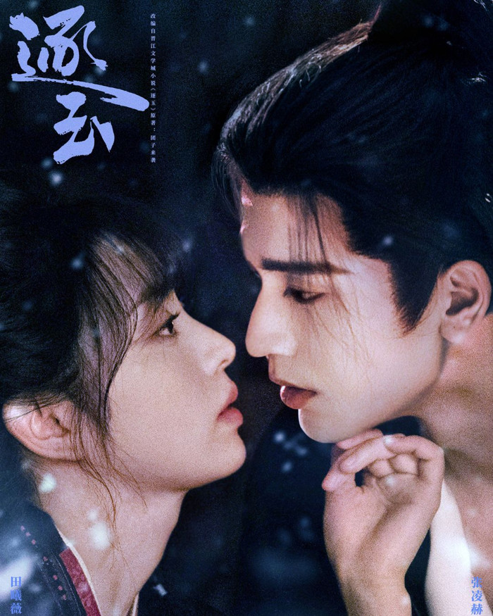 Câu chuyện bắt đầu bằng tình huống trớ trêu khi Phàn Trường Ngọc ép Tạ Chinh làm phu quân sau khi cứu mạng. Từ mối quan hệ oan gia, cả hai dần trở thành đồng minh trong cuộc chiến quyền lực. Phim kết hợp yếu tố hài hước và chính trị cung đình.