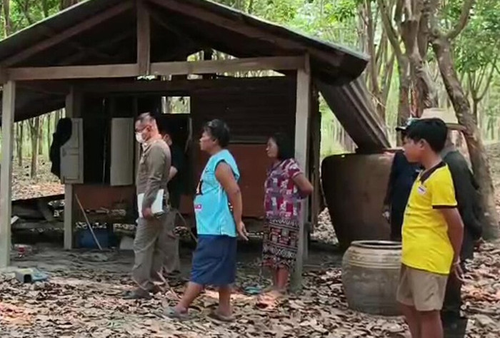 Đi cạo mủ cao su vào sáng sớm, nam công nhân phát hiện cảnh tượng kinh hoàng Ảnh 2