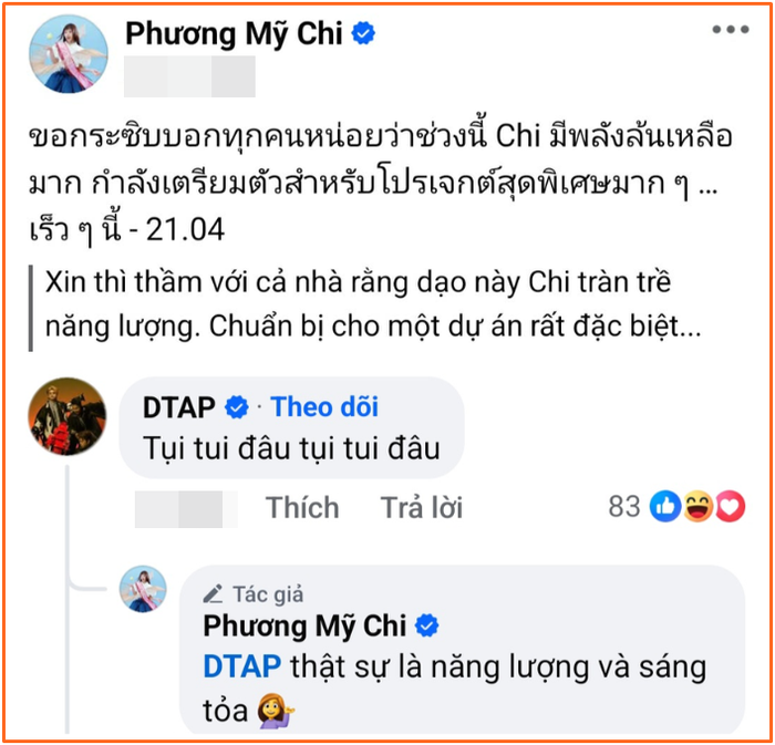 Phương Mỹ Chi chính thức quyết định dừng lại Ảnh 4