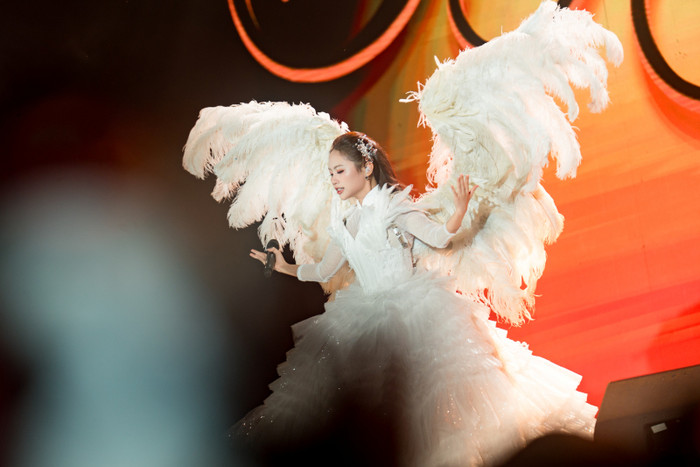 Phương Mỹ Chi chính thức quyết định dừng lại Ảnh 2