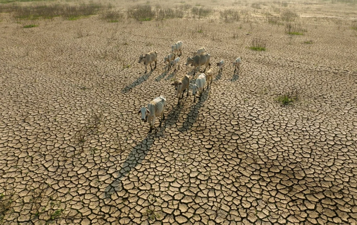 Cảnh báo về hiện tượng El Nino mạnh có thể gây ra lũ lụt nghiêm trọng tại miền Nam Trung Quốc. Ảnh: WOAH