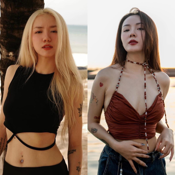 Nữ ca sĩ Việt 42 tuổi vẫn chưa lấy chồng, nhan sắc xinh đẹp nhất nhì showbiz Ảnh 1