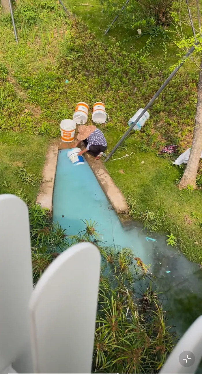 Hồ nước trong công viên bỗng đổi màu xanh bất thường, sự thật phía sau khiến người dân bức xúc Ảnh 1