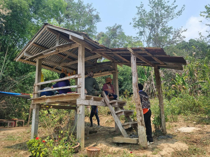 Phát hiện con rùa màu đỏ quý hiếm, người dân ùn ùn kéo đến cầu may Ảnh 1