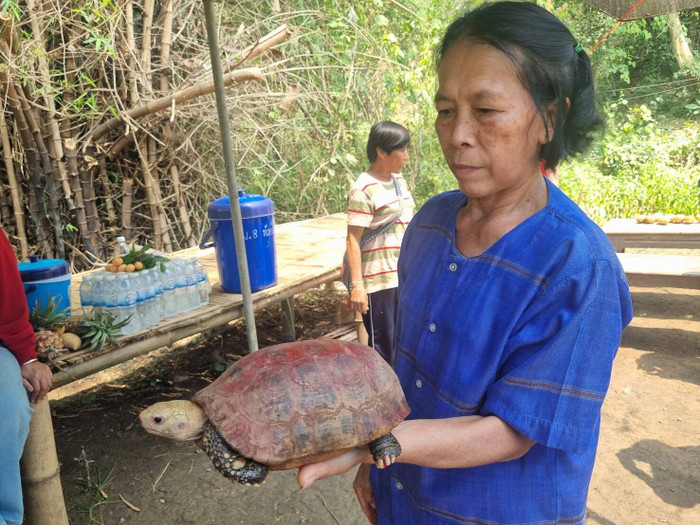 Phát hiện con rùa màu đỏ quý hiếm, người dân ùn ùn kéo đến cầu may Ảnh 3