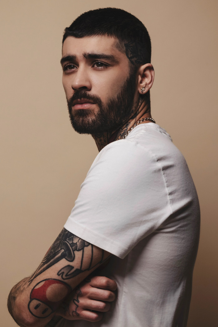 Zayn Malik hủy show vì bệnh tim Ảnh 1