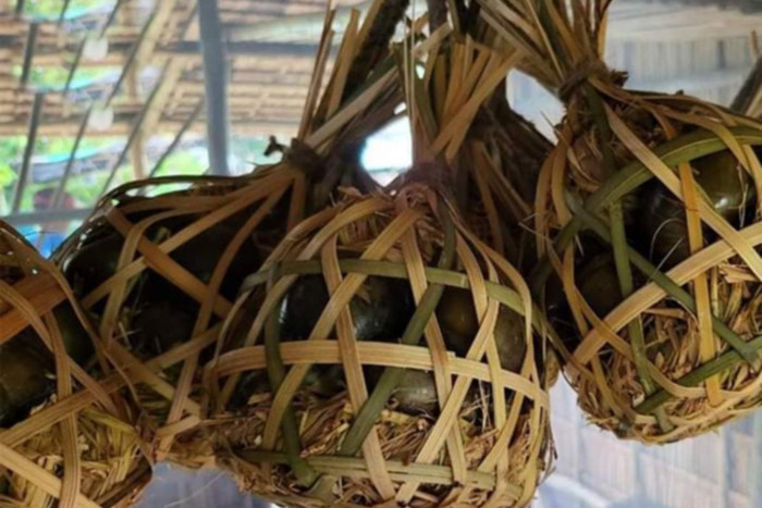 Ốc treo giàn bếp.