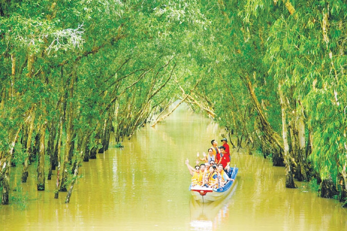 Rừng tràm Trà Sư.