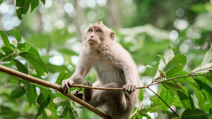 3 con giáp chỉ thành công khi rời xa quê hương lập nghiệp, sau 35 tuổi sẽ giàu to Ảnh 2