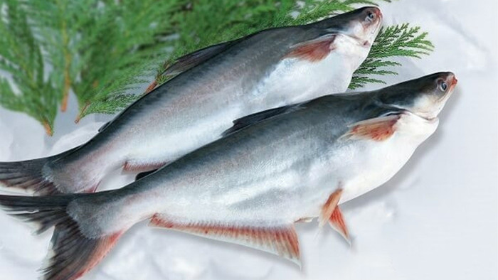 5 loại cá làm nên lẩu mắm trứ danh miền Tây, thiếu một là mất vị Ảnh 4