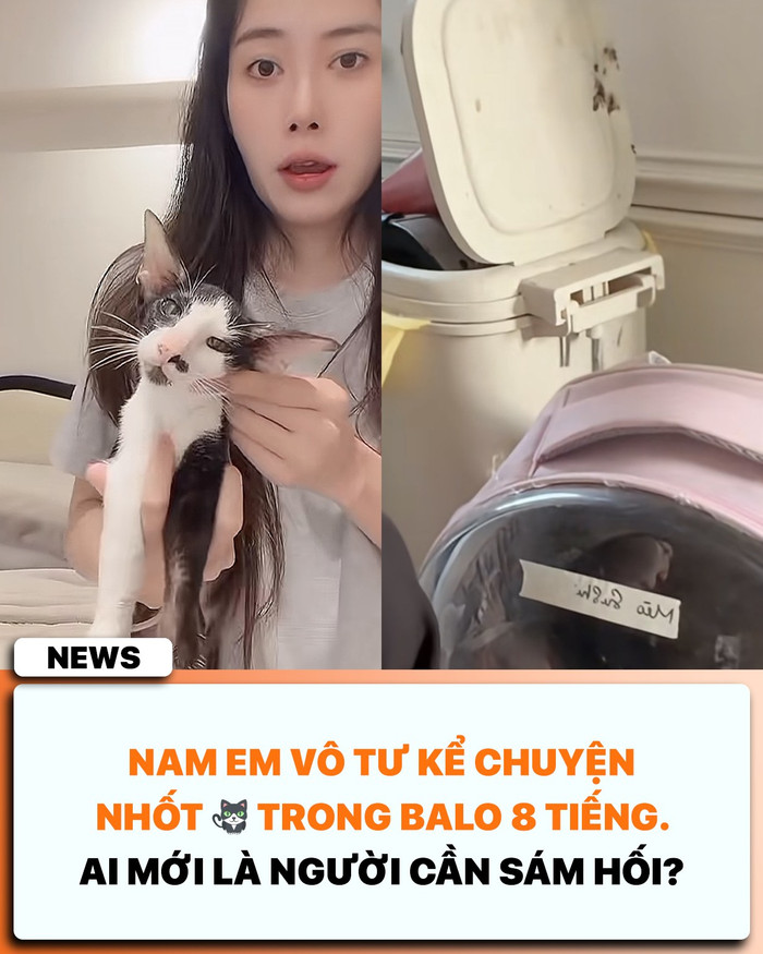 Hết cứu vãn được Nam Em Ảnh 1