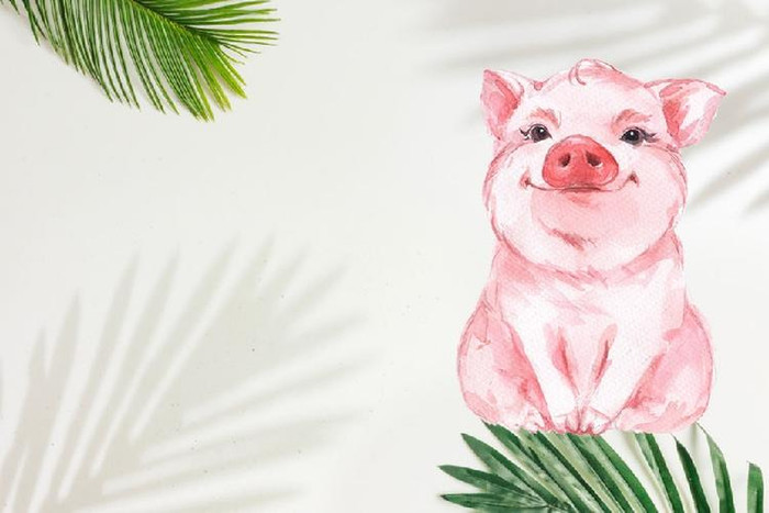 4 con giáp trưởng thành muộn về cảm xúc: Trước 30 dễ tổn thương, sau 30 lại sống cực kỳ tỉnh táo Ảnh 4